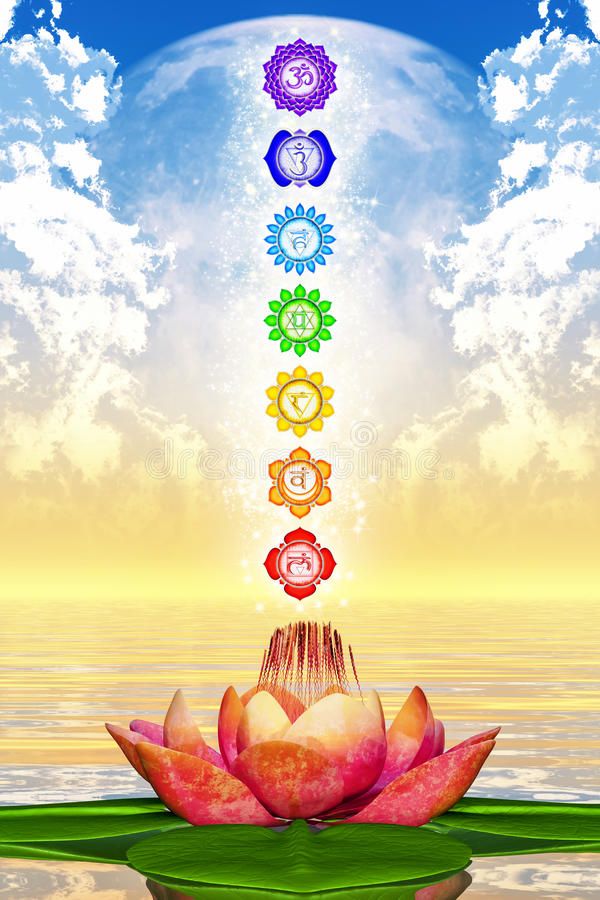 Sacred Lotus and Chakras stock illustration_ Illustration of colorful - 48752613